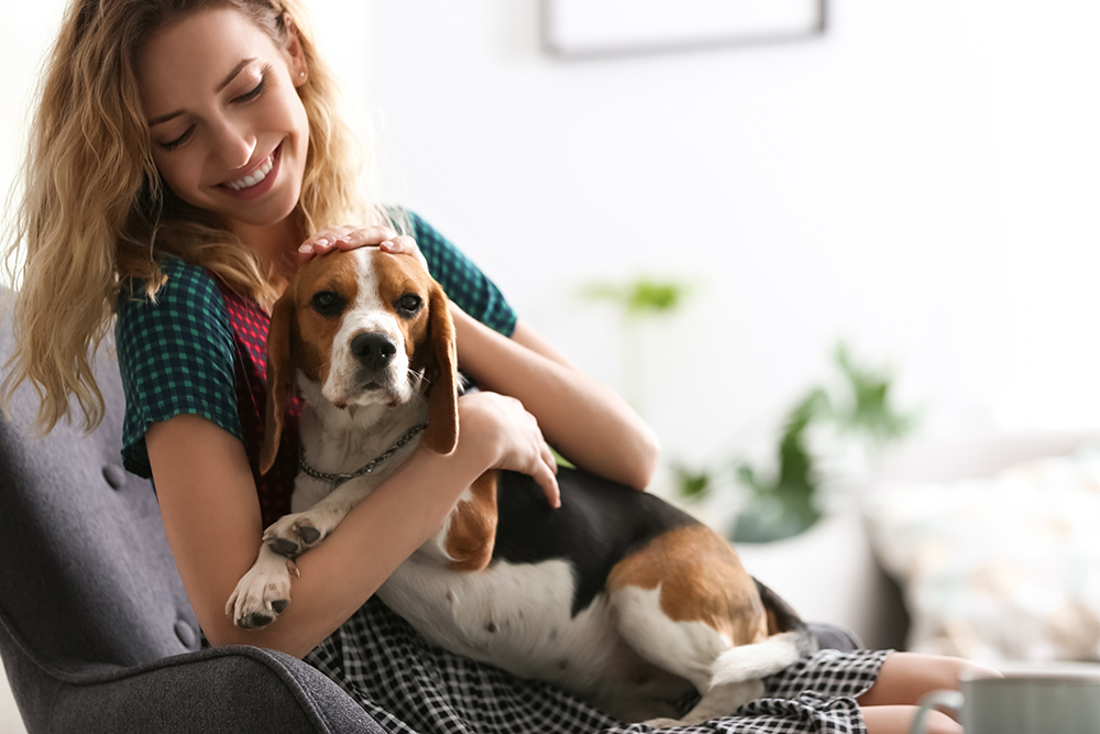 women holding a beagle dog pet care image
